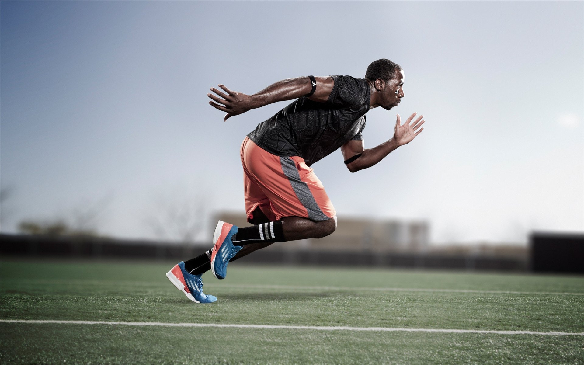 爵士队新援融入良好，期待突破，爵士队新闻