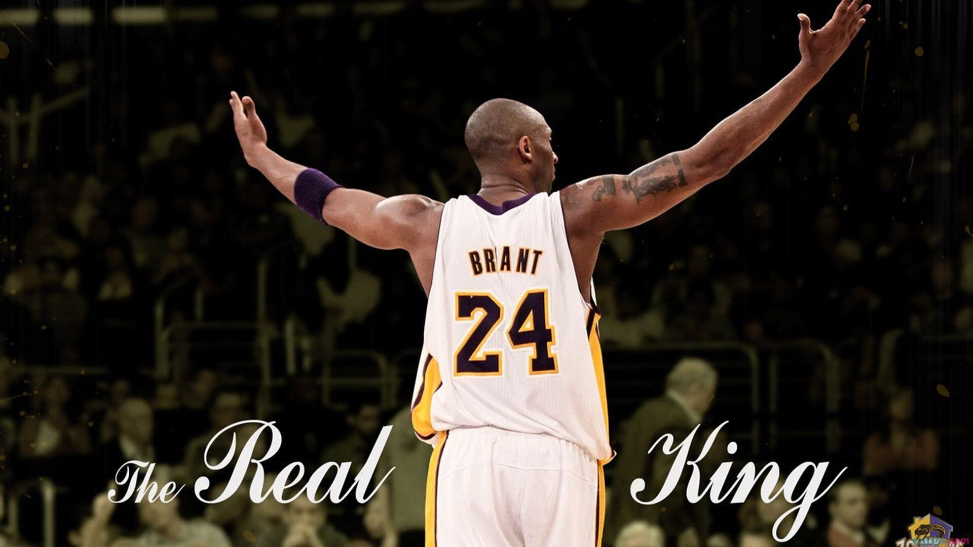 联赛观察：积分赛积分榜突变，季后赛席位争夺激烈，积分赛阵容查询